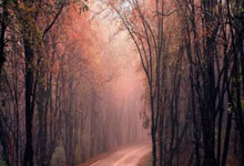 欧洲足球赛聚焦全球关注，精彩比赛一触即发