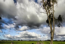 巴黎圣日耳曼积分榜首，球队状态出色