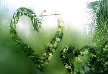 马刺迎来三连胜，赢得西部排名前进