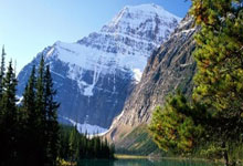 尼斯客场不敌桑德兰，遭遇意外失利