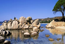 美国男篮再次称霸世界，成功卫冕冠军